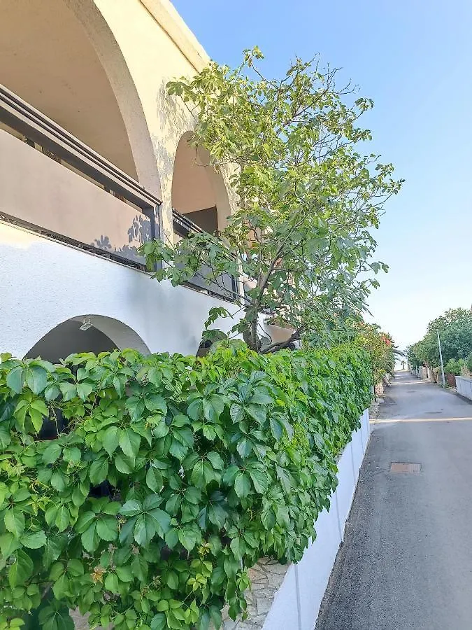 Apartments Branka- 4 Apartments In House- 1 Apartment Has Jacuzzi Vir 0*,  Croatia