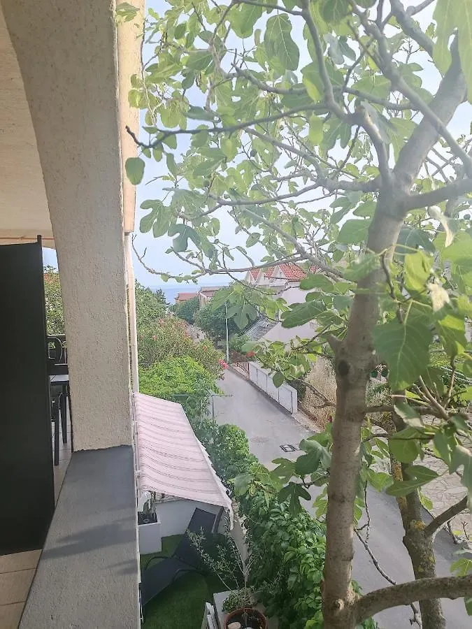 Apartments Branka- 4 Apartments In House- 1 Apartment Has Jacuzzi Vir